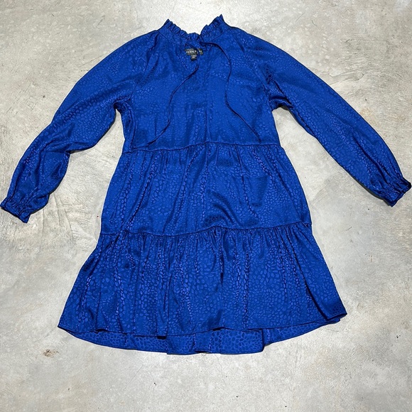 Harper Dresses & Skirts - Harper 241 Royal blue dress‎ /Size 10/D-71